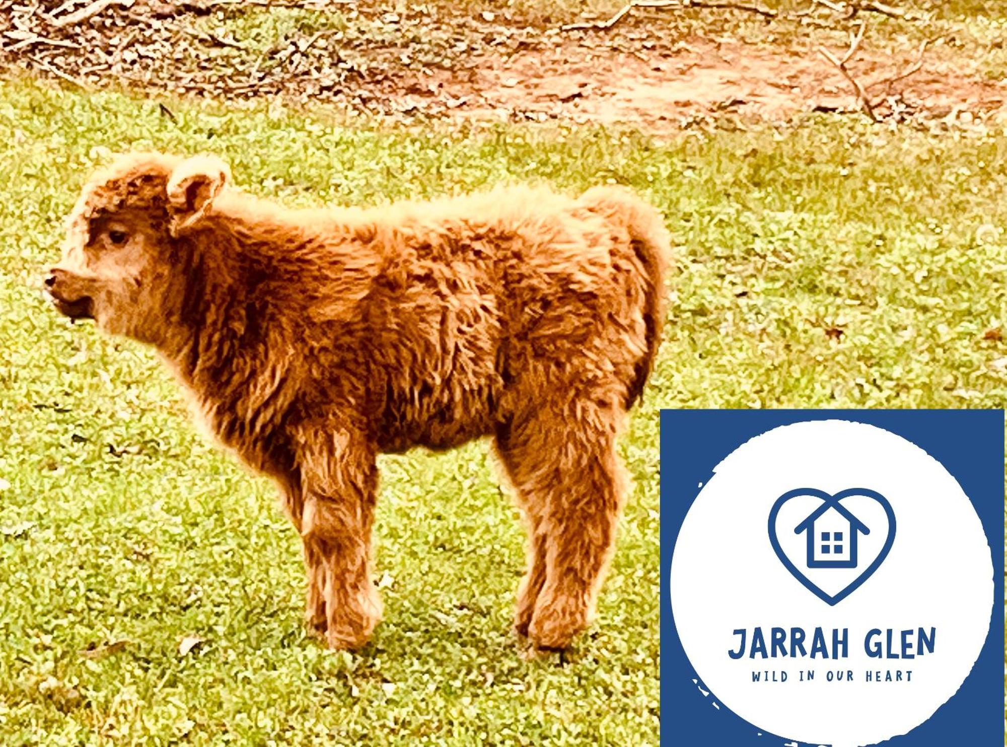 Jarrah Glen Cabins Наннап Екстер'єр фото